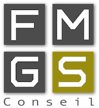 Fmgs Conseil